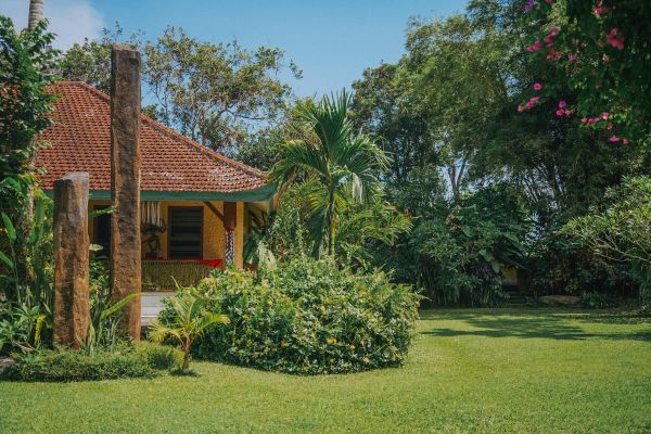 Construisez un studio de jardin clé en main pour votre espace