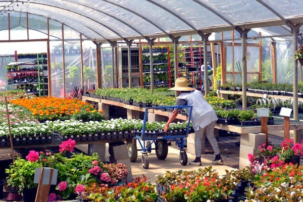 Bâche pour serre : les options qui s'offrent à vous